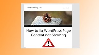 How to fix WordPress Page Content not Showing