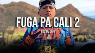 Fuga pa cali 2 - Los de la O -  LETRA 🔥🔥