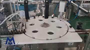 Automatic small bottle servo control filling capping machine line