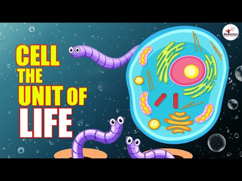 Video #Biomentors #NEET 2021 Batch: Biology - Cell the Unit... - youtube