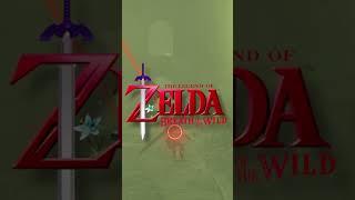 LE PROBLÈME QUE J'AI TROUVÉ sur Zelda Tears of the Kingdom (ET VOUS ?)