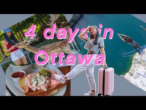 渥太华旅行攻略｜第一次蹦极｜各类美食分享｜｜可投喂的野生动物园｜dawnlcz