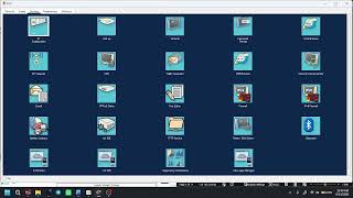 VLAN Explained | VLAN, Access Port & Trunk Port | Computer Networking