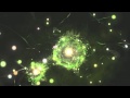 Sigur Ros - Se Lest