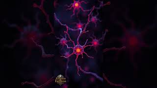 The Neuron Of Freedom 🎶part4🎧Antonio Espinosa El Griego🌌PAR2#newage #ambient #minimalism #musica