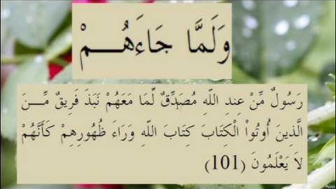 القران الكريم سورة البقرة الاية 101