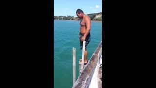 bombs off the wharf auckland