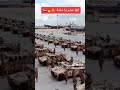 مصر العظمي