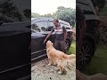 my be come aa hard dog😄💖😀#shorts #viralvideo #harddog#youtubeshorts #binod 😀💖😄
