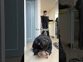 24 hour plank #tiktok #funny