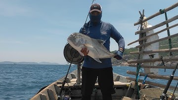 Popping cá bè hòn tai.cù lao cùng ae