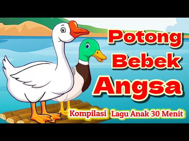 Potong Bebek Angsa - Lagu Anak Lucu - Kompilasi Lagu Anak 30 Menit class=