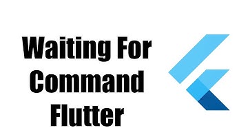 Waiting For Another Flutter Command To Release The Startup Lock