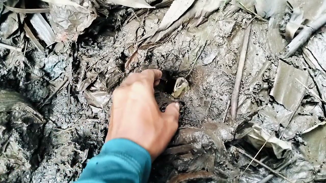 Sambaranya ganas,tapi sayangnya mocel guyss😁😁😁#LARENGUREKJEMBER