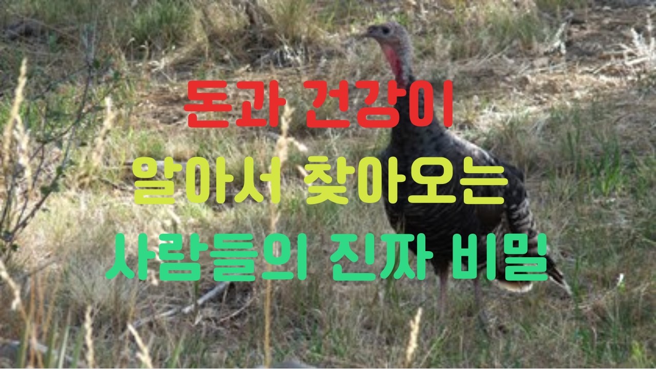 지금 당장 불운의 고리를 끊고 백만장자 주파수로 갈아타는 법 II 웨인 다이어(Wayne Dyer) #경제적자유 #돈복 #백만장자 #활력 #에너지 #건강비법 #멘탈케어 #힐링