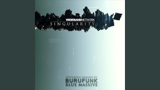 Singularity (Burufunk Remix)