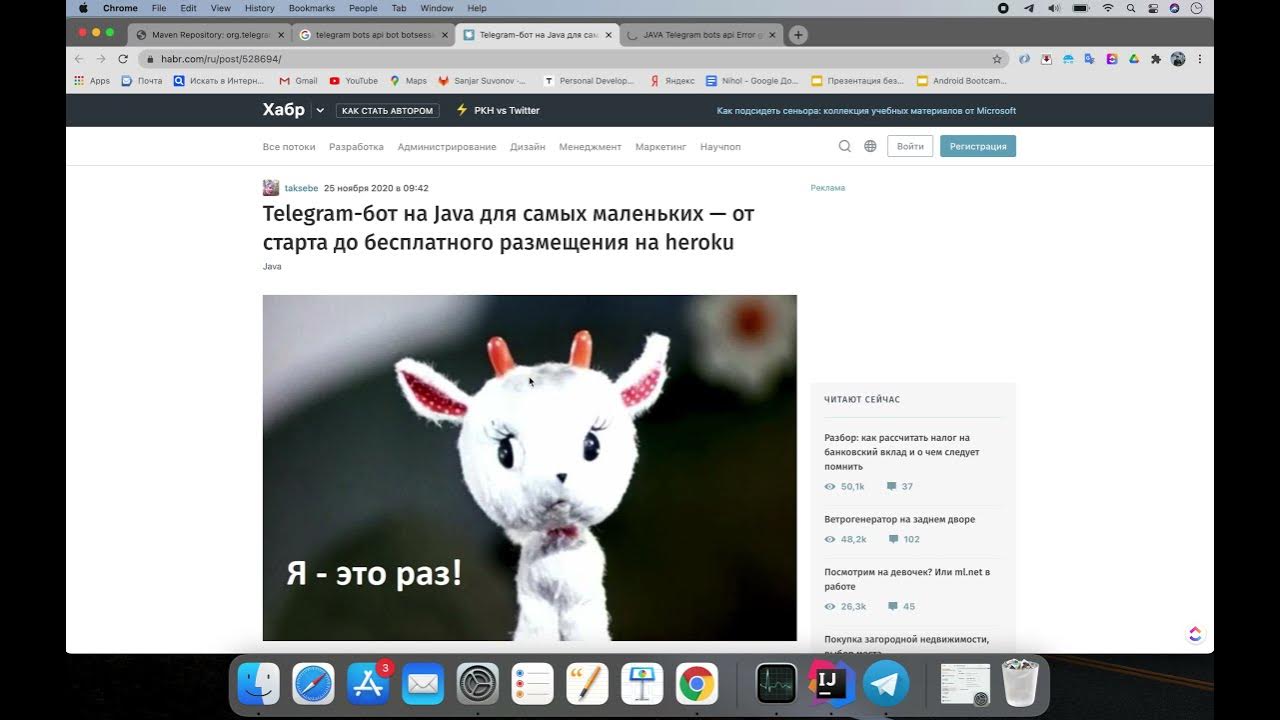 Боты зайцы проверить. Телеграмм бот на джава. зайцы бот. впс бот. каталог в телеграмм боте java.