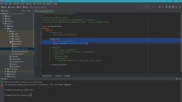 Автоматизированное тестирование Web-форм (Codeception + Selenium)