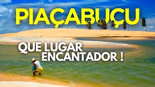 Piaçabuçu Alagoas 2024 - Conheça as dunas douradas e a foz do rio São Francisco