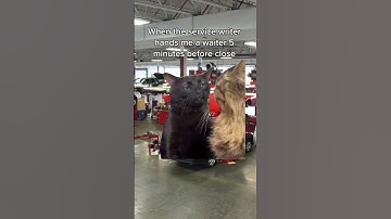 I can’t stand these service writers…🙄 #cars #dealership #edit #mechanic #luxurycar #viral  #trend