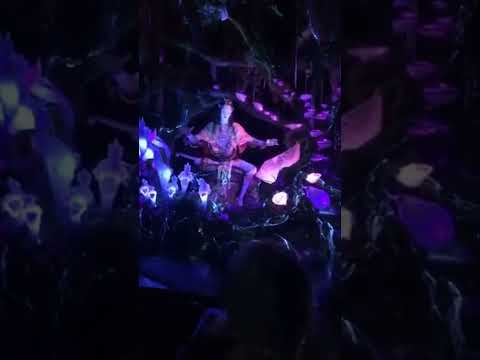 Shaman of Songs