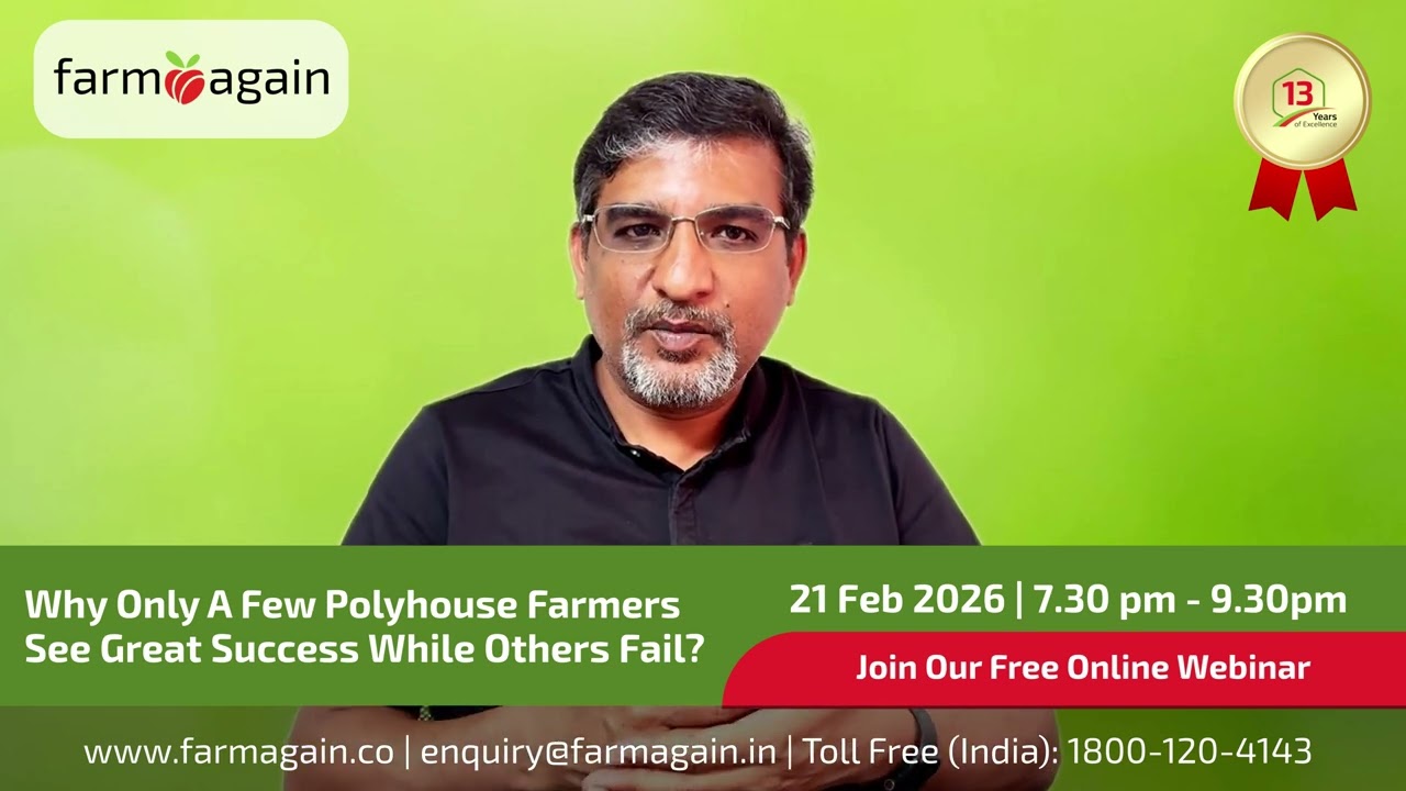 Why Only A Few Polyhouse Farmers See Great Success While Others Fail?