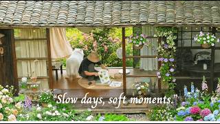 【Жизнь неспешно — Сельская местность】«Неспешные дни, нежные моменты». — (Расслабляющая музыка для... screenshot 2