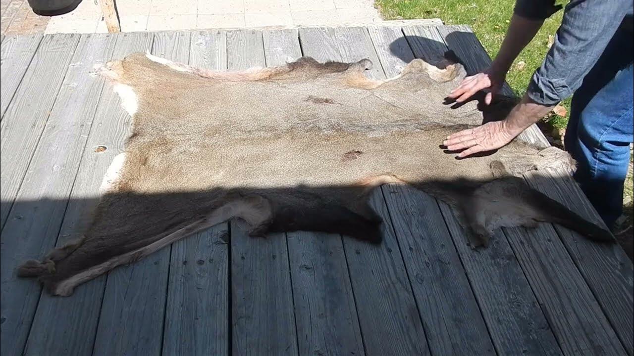 How to de-flesh a deer hide – My Life On The Land