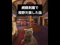 網膜剥離で視野欠損した話 #猫ミーム #memes #病気