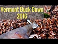 Vermont bucks down 2016 Vermont bucks down 2016