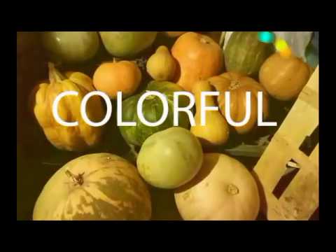 Βίντεο: Δημιουργία γλάστρας κολοκύθας - Καλλιέργεια φυτών μέσα σε κολοκύθες
