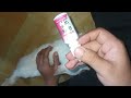 Cara Mengobati kucing Diare,muntah,dan nafsu makan menurun  dengan obat Wormnox