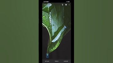 Snapseed dark green editing || moody green || #shorts