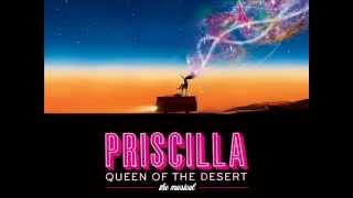 Miniatura de vídeo de "Original Cast Broadway-Priscilla Queen of Desert-We Belong"