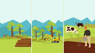 Critical Thinking Framework Application screenshot 1