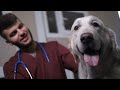 Beginning of video
