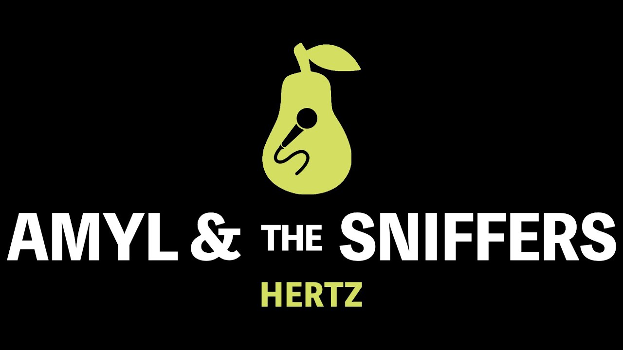 Amyl and the Sniffers - Hertz (Karaoke)