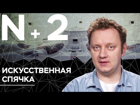 Андрей Коняев объясняет, как ввести человека в спячку // N+2