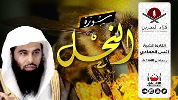 سورة النحل الشيخ انس العمادي