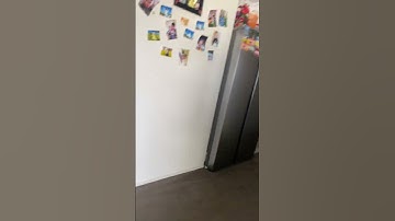 Is my first loop good guys (pls no bad comments)