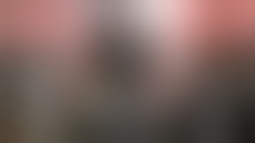 Prototype: All Weapon Transformations, Devastator attacks, And Consume Actions.