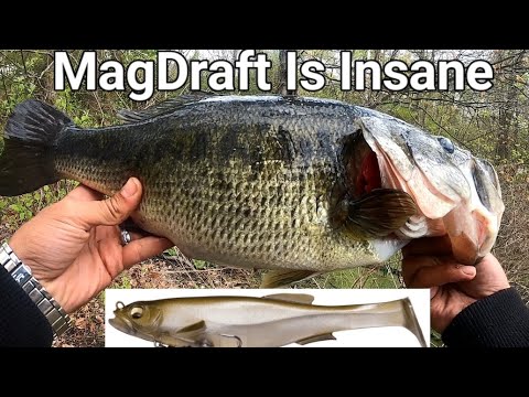 Fishing With Nothing But A Magdraft Swimbait #megabass #swimbaitunderground