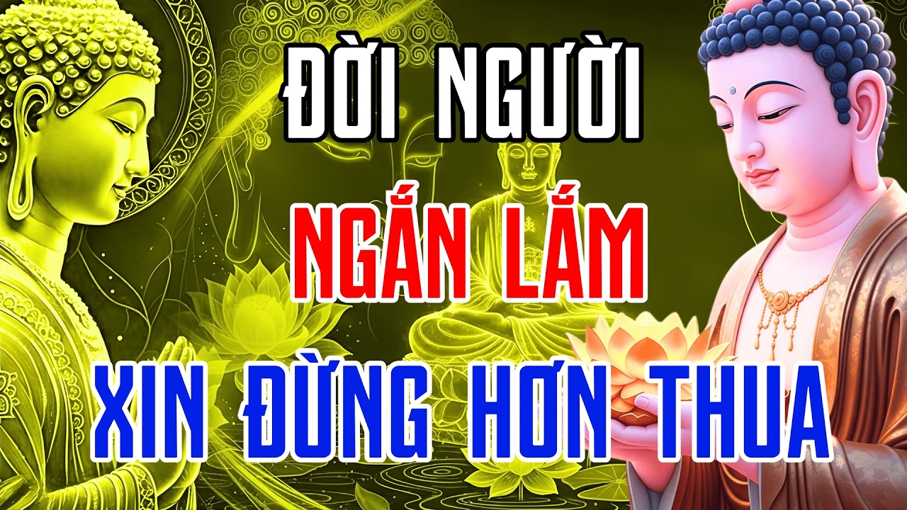 Lời Phật Dạy Về Sự Buông Bỏ: Đừng Hơn Thua Làm Gì Cho Khổ, Tâm An Thì Vạn Sự Đều An
