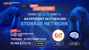 ContributionDAO presents: Lecture House EP.6 : Understanding Walrus: A Decentralized Storage Network