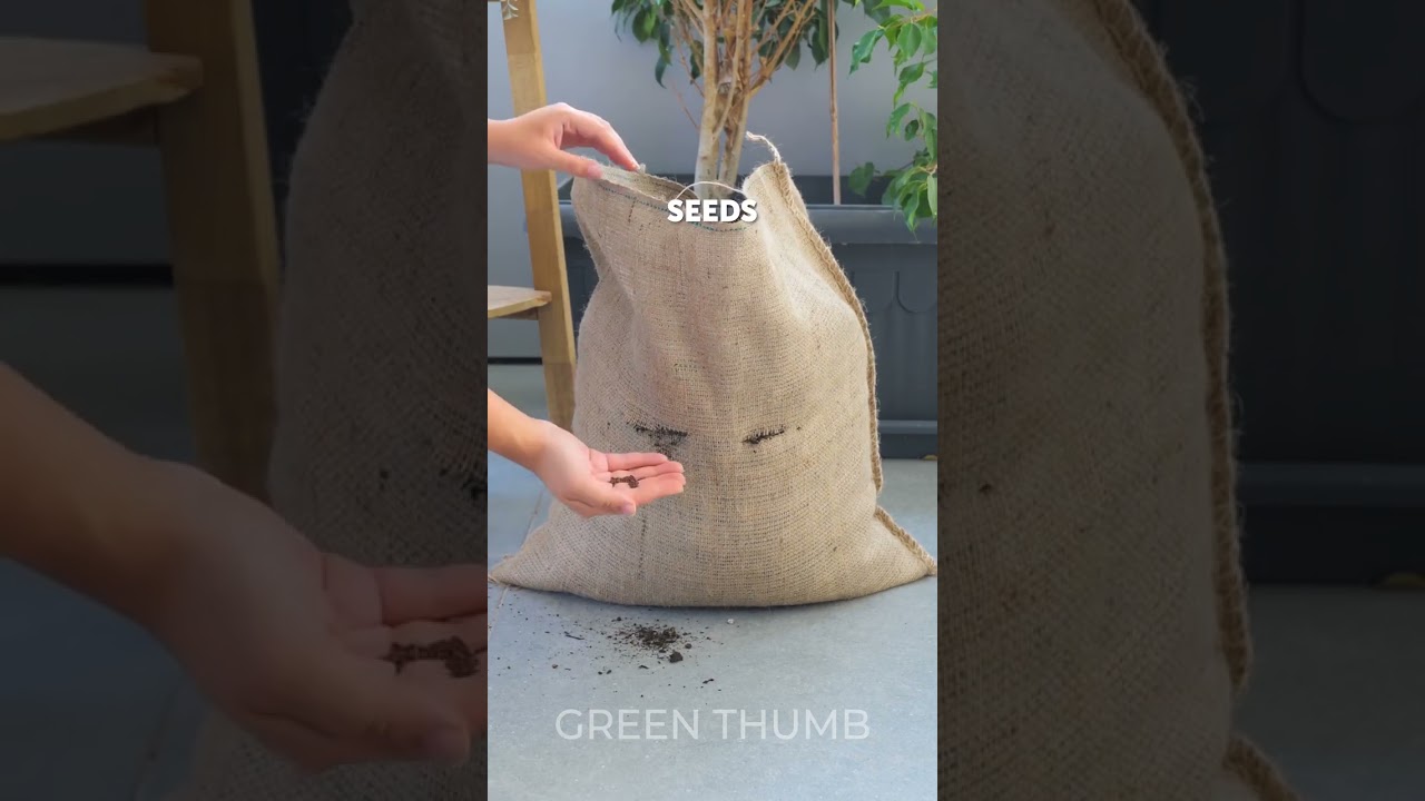 Grow Anything: From Seed to Harvest Series! 🌳