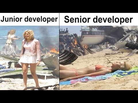 Chad Senior Dev | Programming Memes || r/ProgrammerHumor