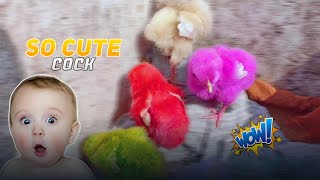 My First Video Upload In Youtube Small Cute Colour Full Cock Itx Zakariya