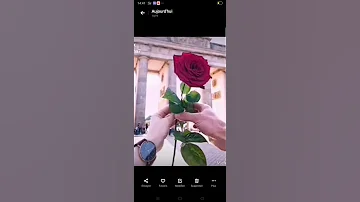 اغنية يادكتور شفلي 