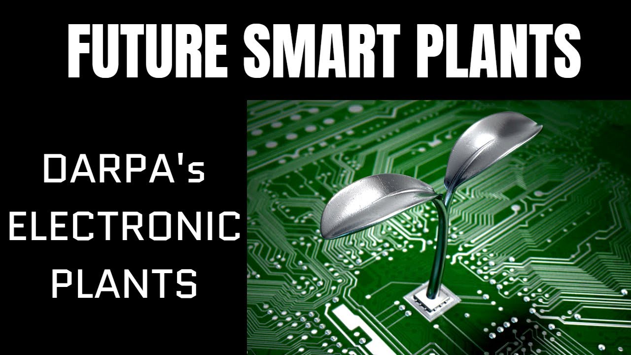 Electronic Smart Plants | Advance Plant Technology | DARPA | Wired Reality