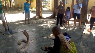 Mga Cobra Naliligaw Sa School Jtg Kamandag